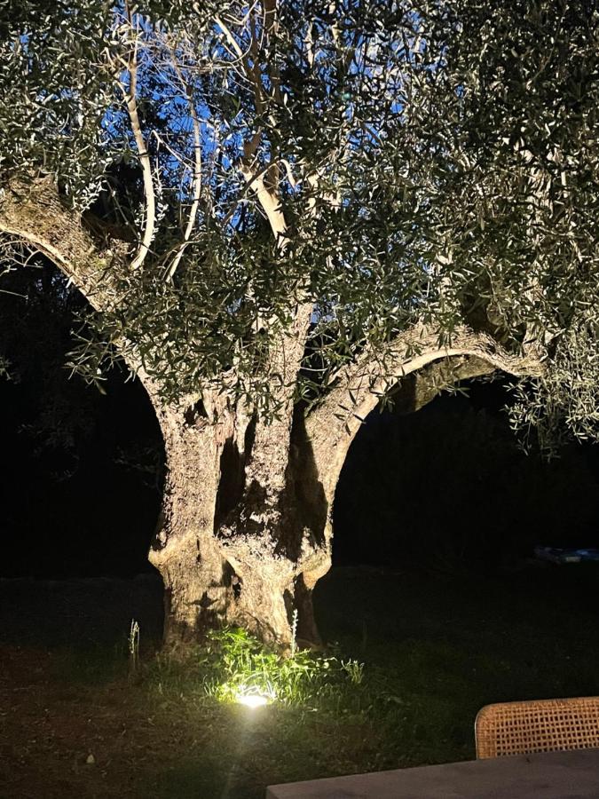 Villa La Carpenee Roquefort-les-Pins Eksteriør bilde
